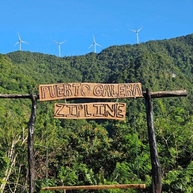 Puerto Galera PG 海豚灣