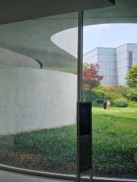 이색적인 전시데이트