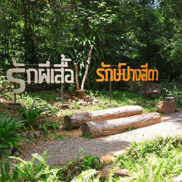 เทศกาลชมผีเสื้อ อุทยานแห่งชาติปางสีดา สระแก้ว