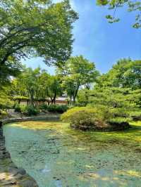 아름다운 분위기를 자아내는 서울 명소 석조전💚