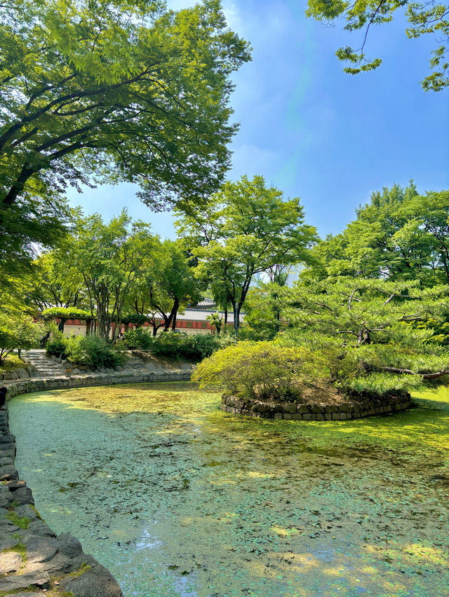 아름다운 분위기를 자아내는 서울 명소 석조전💚