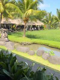 インドネシア🇮🇩バリ島✨ウブドのレストラン🌿🍽️