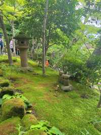 【鎌倉】海岸と紫陽花の神ロケーション『長谷寺』