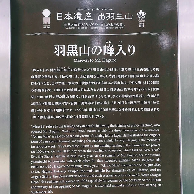 【出羽三山】羽黒山を巡りよみがえりを祈るリトリートの旅へ⛰