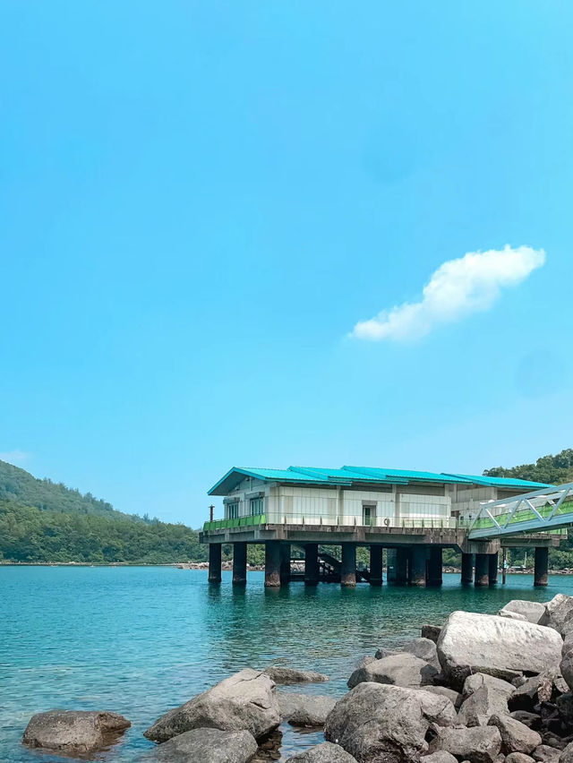 海下灣：與小丑魚共舞的玻璃海夢境