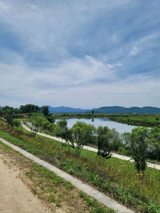 뜨겁지만 초록풍경에 힐링되는 악양생태공원💚