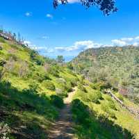拉拉山國家森林公園：壯闊山景