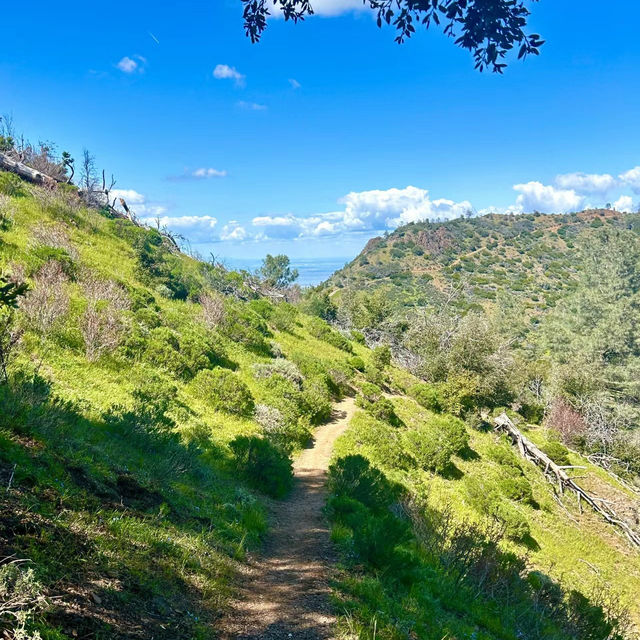 拉拉山國家森林公園：壯闊山景