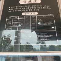 전북고창 고인돌박물관 체험👍🏻