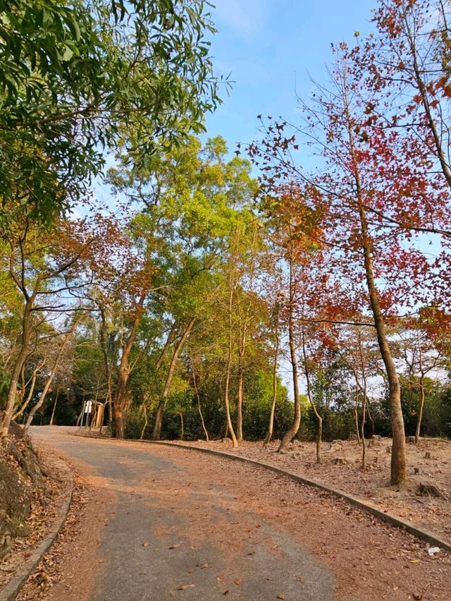 十分值得去的香港郊遊地區 十分值得去的香港郊遊地區
