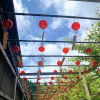 【正寿院】夏もとても綺麗🩵