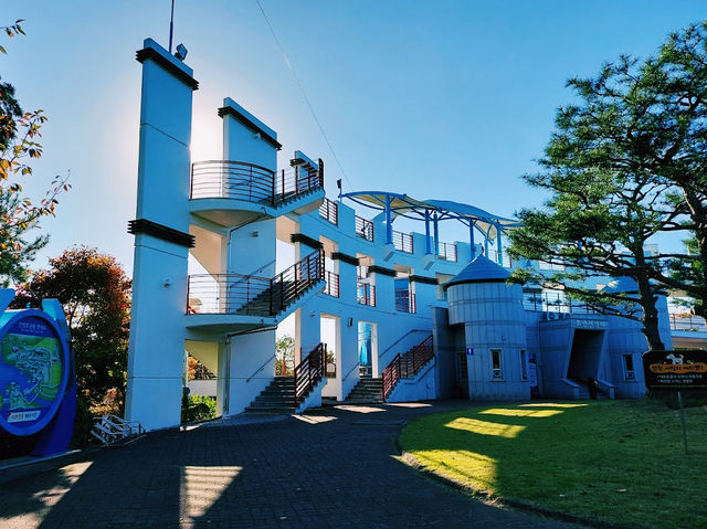 The Jinyang  Lake Observatory