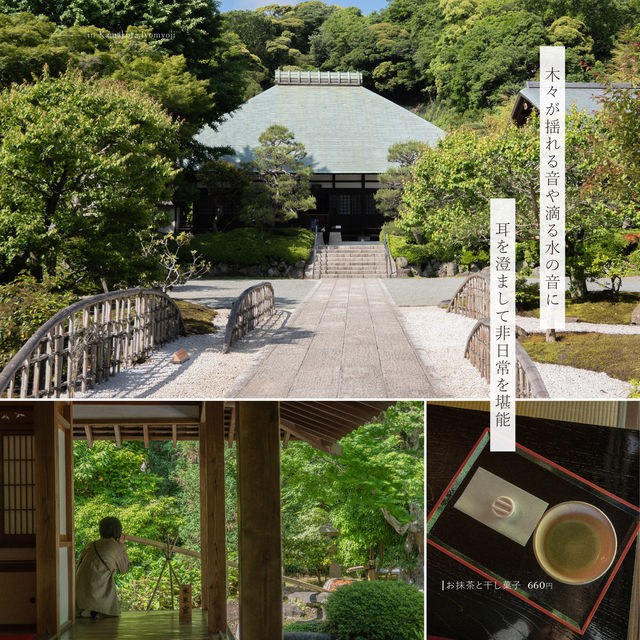 観光客の少ない鎌倉の穴場「浄妙寺」🍃
