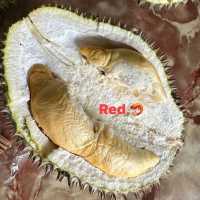 **Durian Orchard in Melaka: A Fruity Delight**