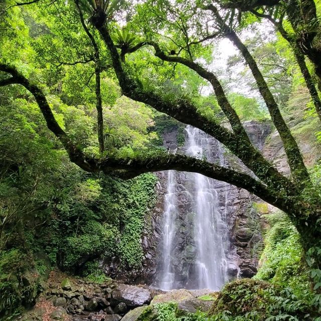 假日悠閒爬山