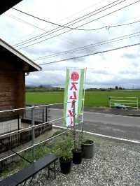 【福岡グルメ】新鮮な野菜とフルーツで作るスムージーはいかが？🍅