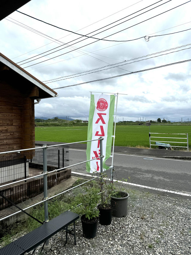 【福岡グルメ】新鮮な野菜とフルーツで作るスムージーはいかが？🍅
