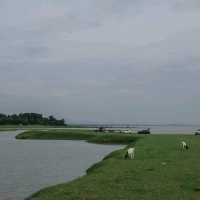 🌿🐑ถ่ายรูปกับฝูงแพะ @เขื่อนป่าสักฯ ลพบุรี