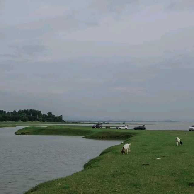 🌿🐑ถ่ายรูปกับฝูงแพะ @เขื่อนป่าสักฯ ลพบุรี