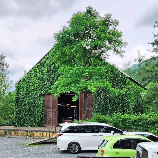 The Birder's Lodge Cafe คาเฟ่เขาใหญ่สุดฮ็อต