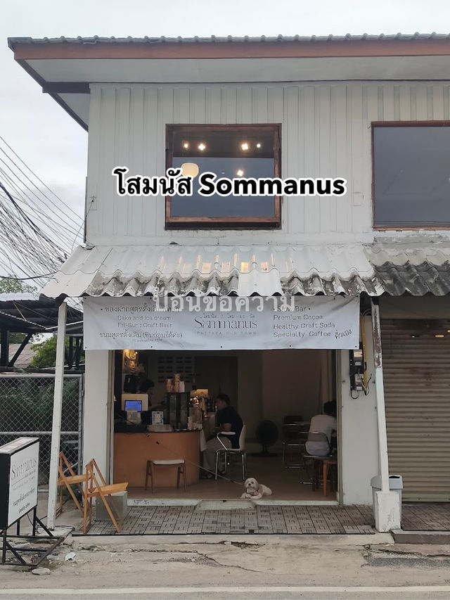 โสมนัส Sommanus