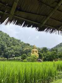 ฤดูฝนที่วัดนาคูหา | จ.แพร่ ⛰️🌳🌧️🌿