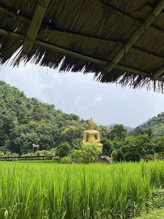 ฤดูฝนที่วัดนาคูหา | จ.แพร่ ⛰️🌳🌧️🌿