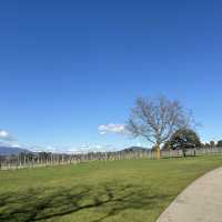 墨爾本酒莊遊（Domaine Chandon)_法國名香檳超值品酒經驗