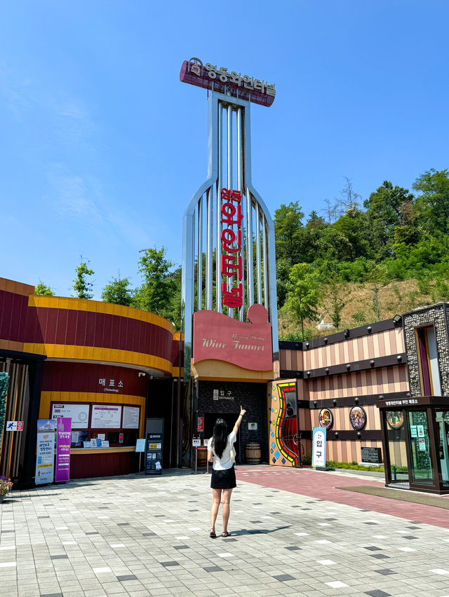 가족끼리 함께 가면 좋은 영동 여행지⭐️