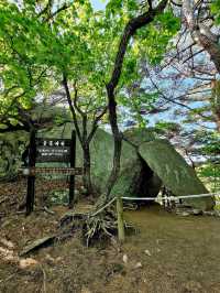 🩷주말 가족과 가기 좋은 청계산 🪁