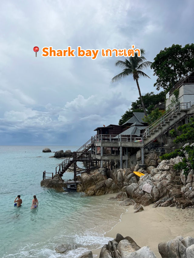 📍Shark bay เกาะเต่า