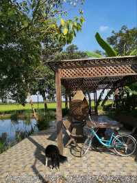 ที่พักลับ กลางทุ่งนา Escape Cottage