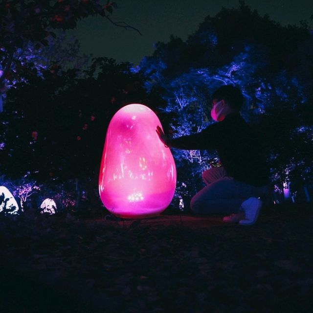ไปดู Digiata Art สุดเท่ที่ teamLab Osaka กัน