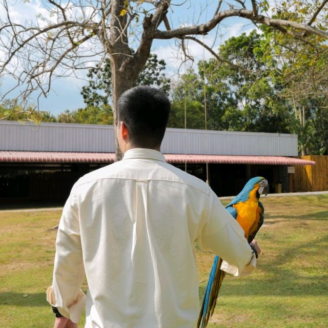 Alpacahill สรรค์ของคนรักสัตว์ที่ราชบุรี
