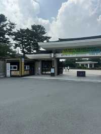 한국 역사에 관심 있는 사람들에게 정말 추천할 만한 곳👍🏻