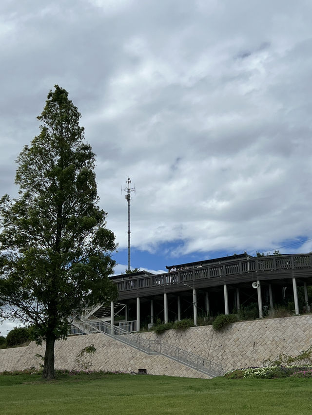 兵庫縣立公園淡路花SAJIKI‼️免費🆓賞花好地方🤩大片薰衣草花田