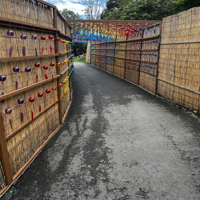 箱館山一日遊