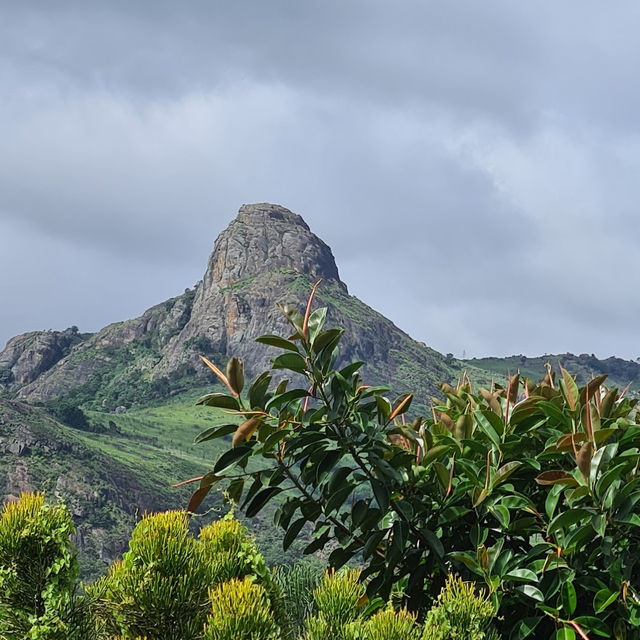 The Lion’s Kingdom Without the Crowds