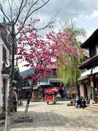🇸🇬Charming ancient town of Shuhe in Lijiang 