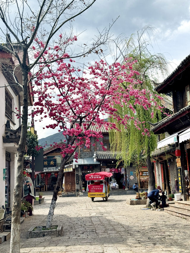 🇸🇬Charming ancient town of Shuhe in Lijiang 