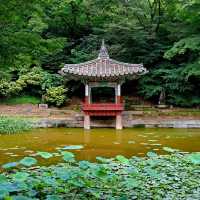 Palace of Serenity: Changdeokgung's Majestic Charm