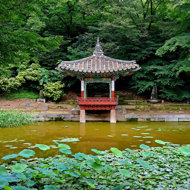 Palace of Serenity: Changdeokgung's Majestic Charm