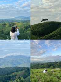 ภูเขาเทเลทับบี้ | จ.แพร่ ⛰️🌧️🌿🌳