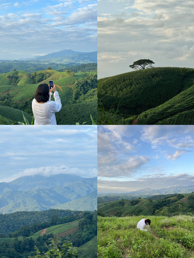 ภูเขาเทเลทับบี้ | จ.แพร่ ⛰️🌧️🌿🌳