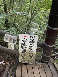 岐阜　マイナスイオンを感じられる滝🏞️