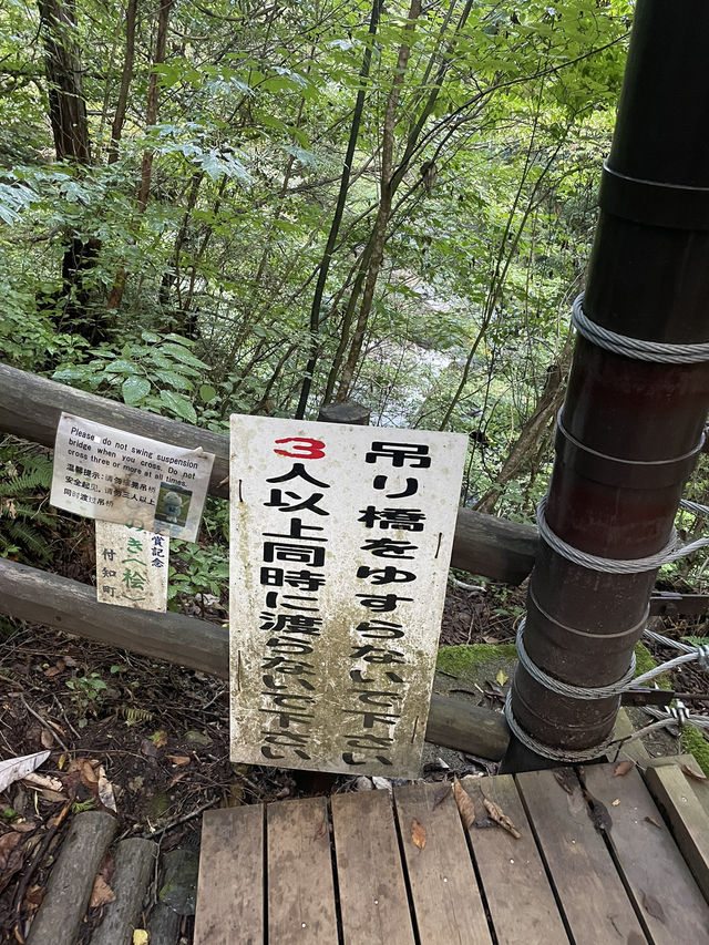 岐阜　マイナスイオンを感じられる滝🏞️