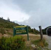 "Abel Tasman National Park: New Zealand’s Coastal Paradise for Adventure and Relaxation"
