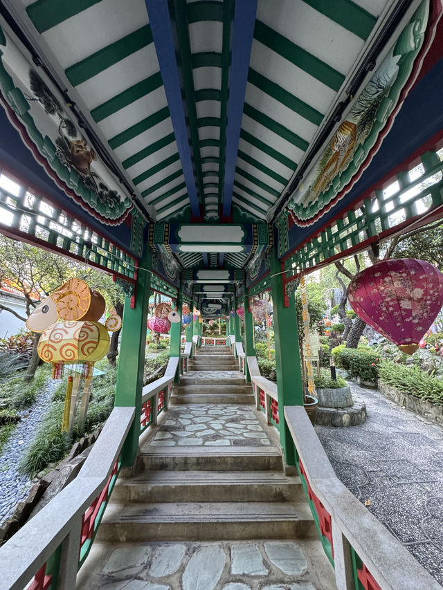 香港好去處|節日氣氛濃厚的中式綵燈會🩷 香港好去處|節日氣氛濃厚的中式綵燈會🩷