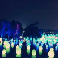 Gardens by the Bay ：白日綠意與夜晚燈光的完美結合
