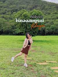 ต้นไม้รูปหัวใจ ❤️ หนึ่งเดียวในเขาใหญ่